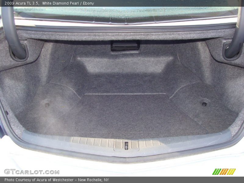White Diamond Pearl / Ebony 2009 Acura TL 3.5