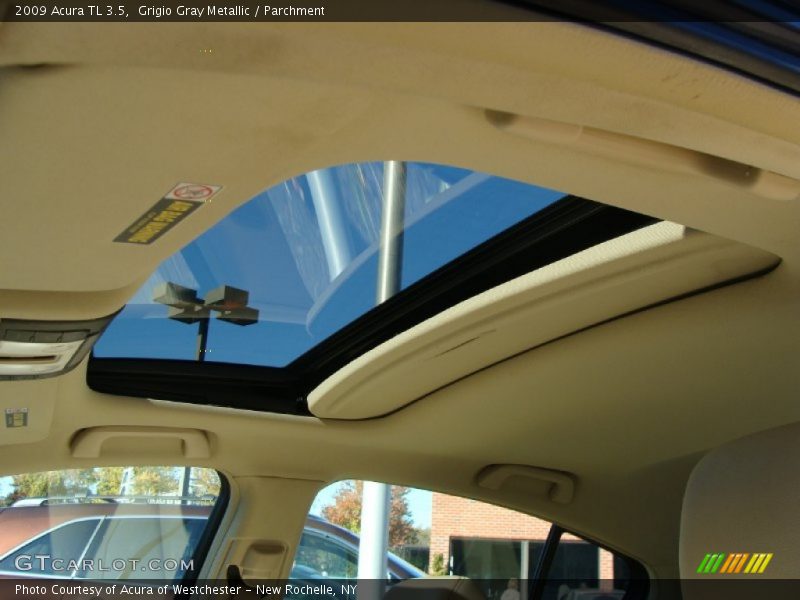 Grigio Gray Metallic / Parchment 2009 Acura TL 3.5