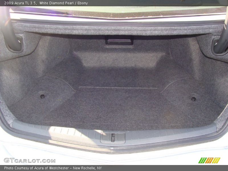 White Diamond Pearl / Ebony 2009 Acura TL 3.5