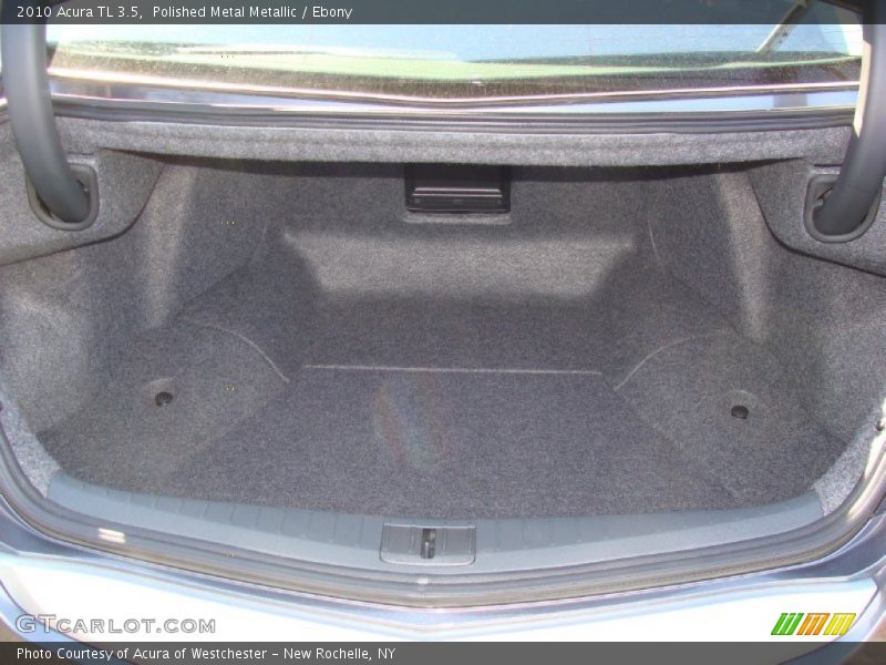 Polished Metal Metallic / Ebony 2010 Acura TL 3.5