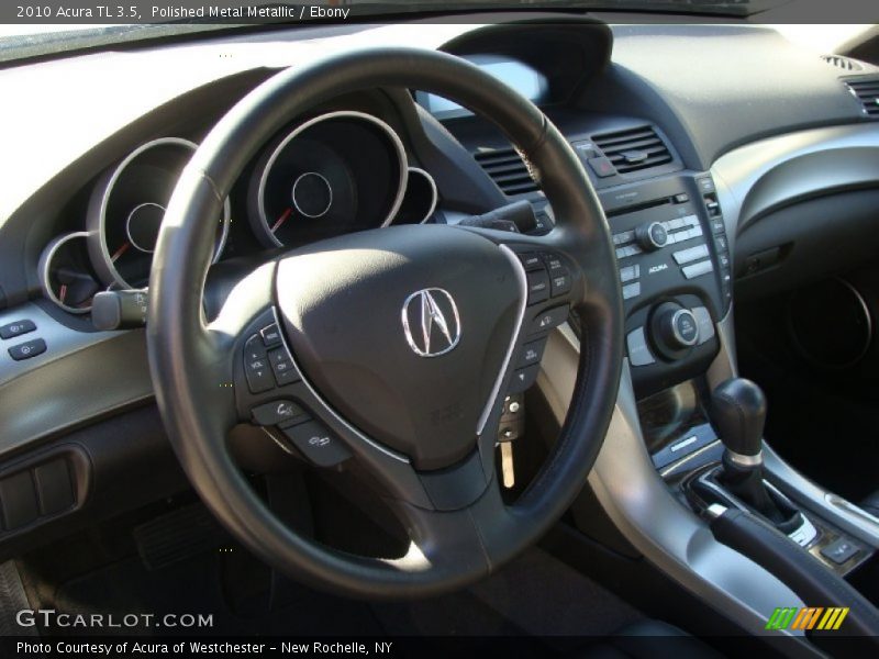 Polished Metal Metallic / Ebony 2010 Acura TL 3.5
