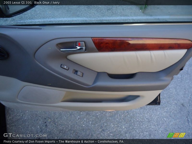 Door Panel of 2003 GS 300
