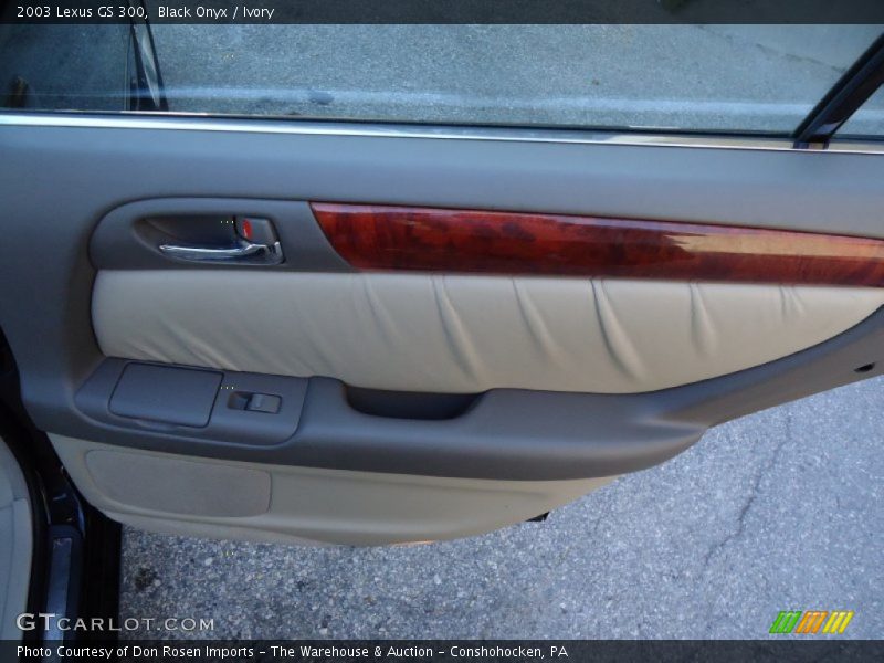 Door Panel of 2003 GS 300