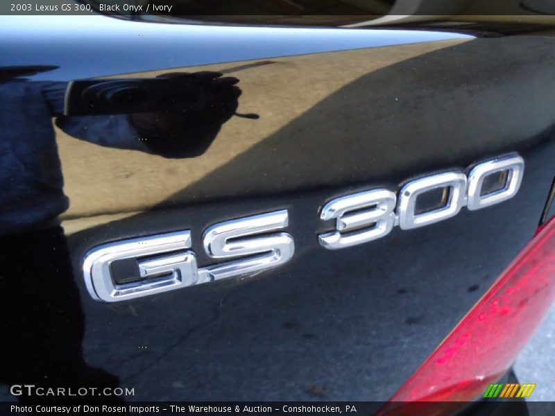  2003 GS 300 Logo