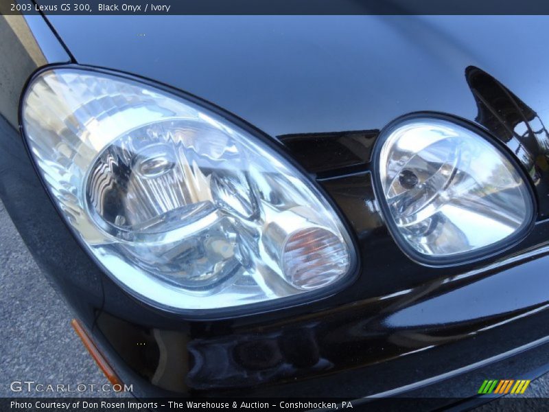 Black Onyx / Ivory 2003 Lexus GS 300