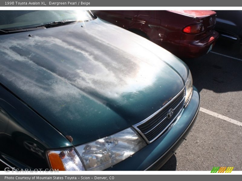 Evergreen Pearl / Beige 1998 Toyota Avalon XL