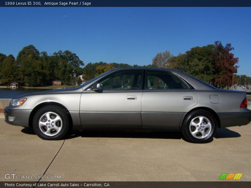 Antique Sage Pearl / Sage 1999 Lexus ES 300