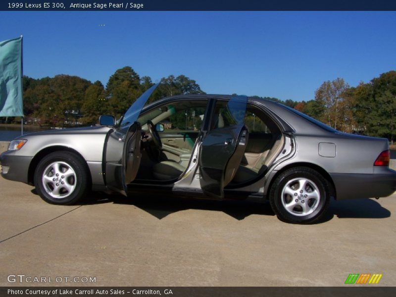 Antique Sage Pearl / Sage 1999 Lexus ES 300