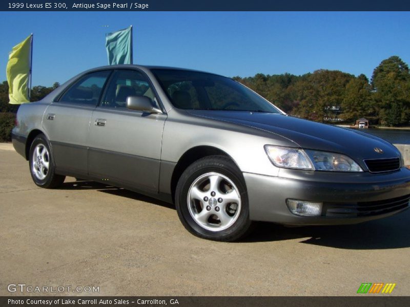 Antique Sage Pearl / Sage 1999 Lexus ES 300