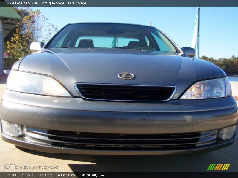 Antique Sage Pearl / Sage 1999 Lexus ES 300