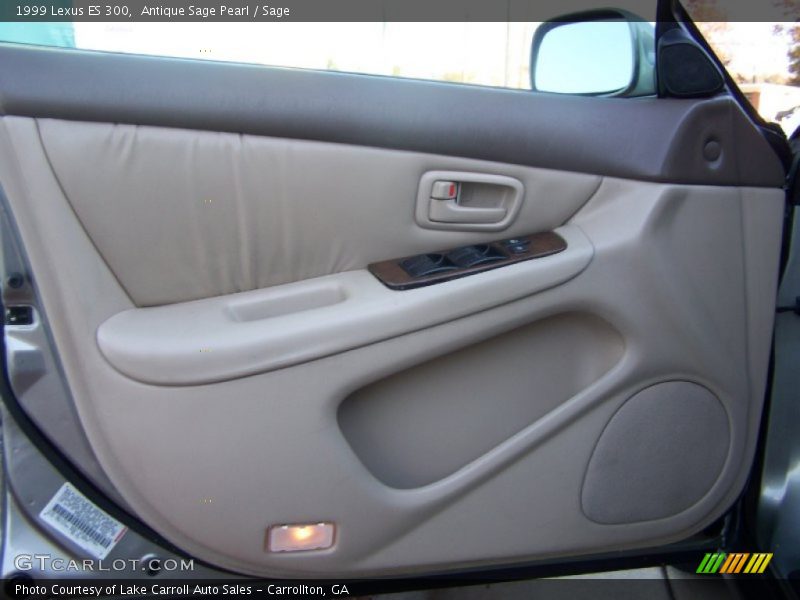 Antique Sage Pearl / Sage 1999 Lexus ES 300