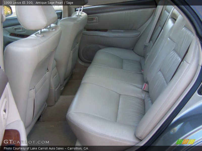 Antique Sage Pearl / Sage 1999 Lexus ES 300