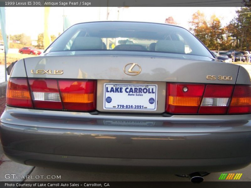 Antique Sage Pearl / Sage 1999 Lexus ES 300