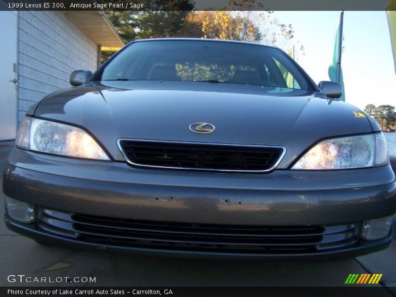 Antique Sage Pearl / Sage 1999 Lexus ES 300
