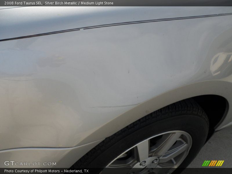 Silver Birch Metallic / Medium Light Stone 2008 Ford Taurus SEL