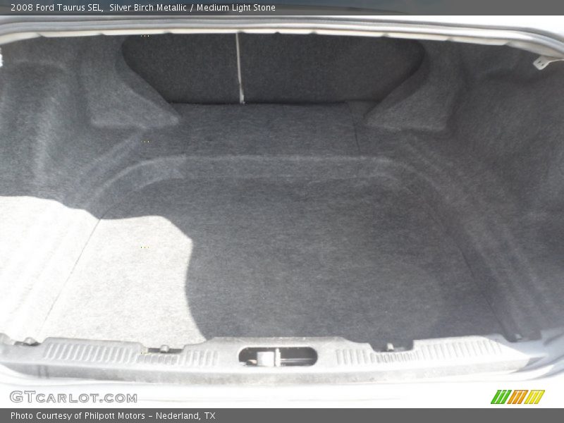 Silver Birch Metallic / Medium Light Stone 2008 Ford Taurus SEL