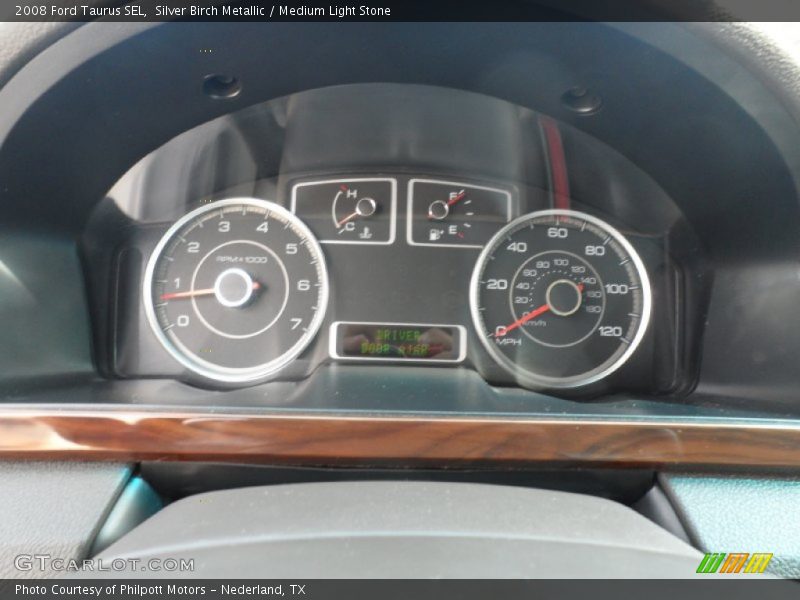 Silver Birch Metallic / Medium Light Stone 2008 Ford Taurus SEL