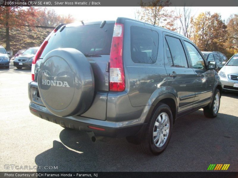 Silver Moss Metallic / Black 2006 Honda CR-V SE 4WD