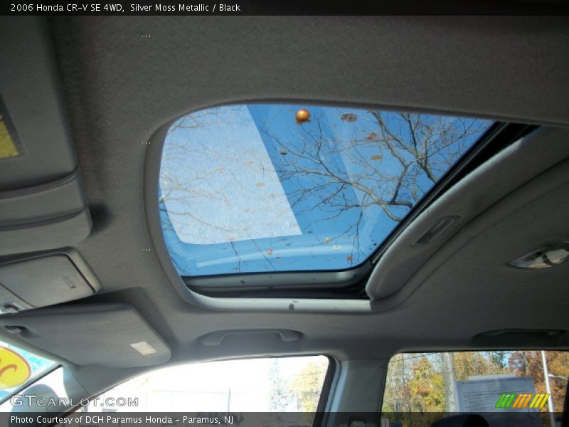 Silver Moss Metallic / Black 2006 Honda CR-V SE 4WD
