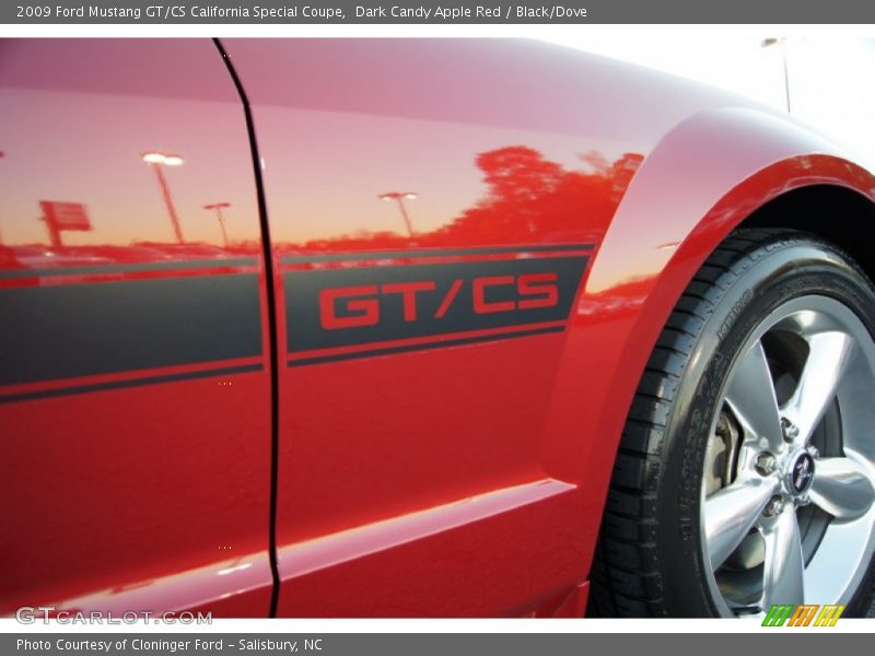 GT/CS California Special graphics - 2009 Ford Mustang GT/CS California Special Coupe