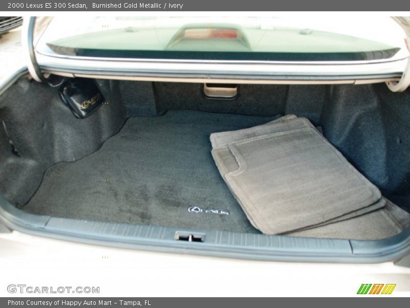 Burnished Gold Metallic / Ivory 2000 Lexus ES 300 Sedan