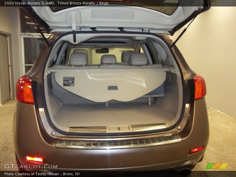 Tinted Bronze Metallic / Beige 2009 Nissan Murano SL AWD