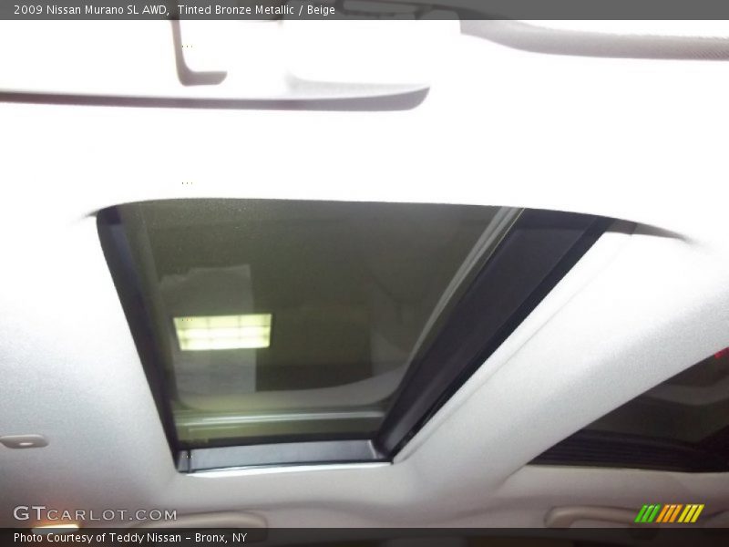 Tinted Bronze Metallic / Beige 2009 Nissan Murano SL AWD