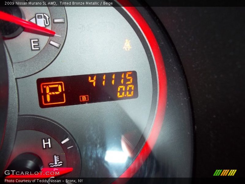 Tinted Bronze Metallic / Beige 2009 Nissan Murano SL AWD