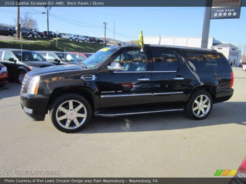Black Raven / Ebony 2010 Cadillac Escalade ESV AWD