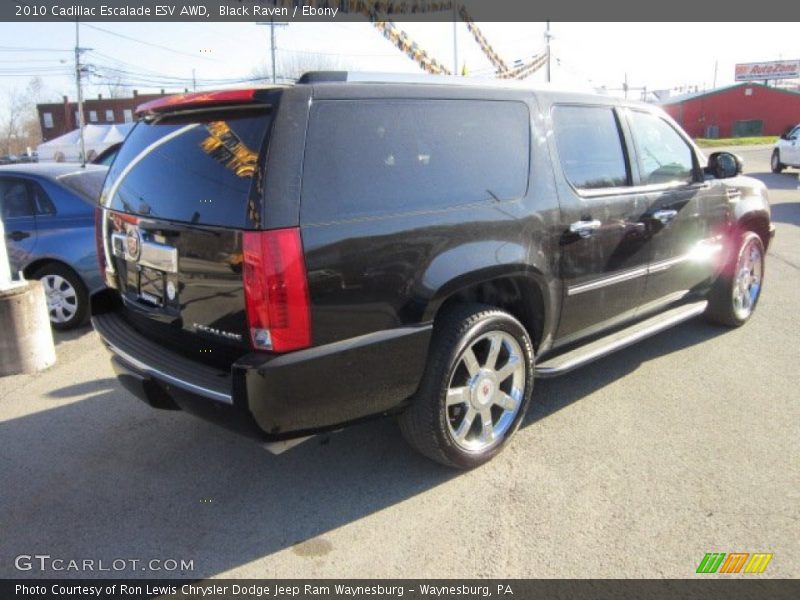 Black Raven / Ebony 2010 Cadillac Escalade ESV AWD