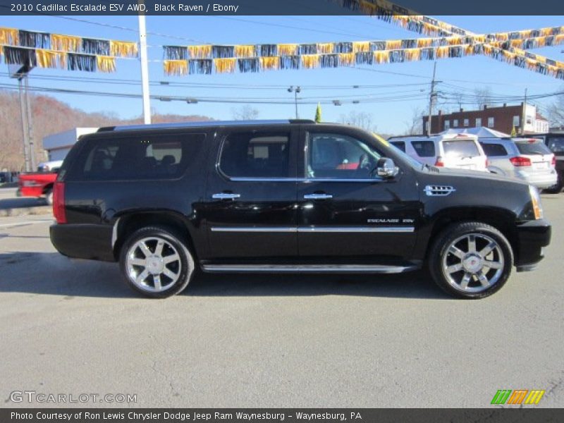 Black Raven / Ebony 2010 Cadillac Escalade ESV AWD