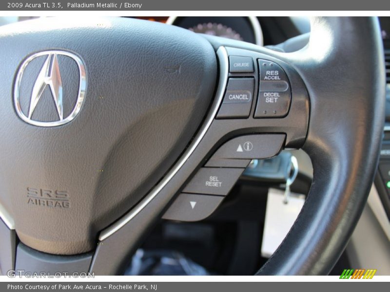 Palladium Metallic / Ebony 2009 Acura TL 3.5