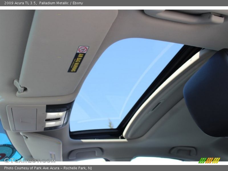 Palladium Metallic / Ebony 2009 Acura TL 3.5