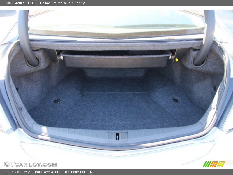 Palladium Metallic / Ebony 2009 Acura TL 3.5