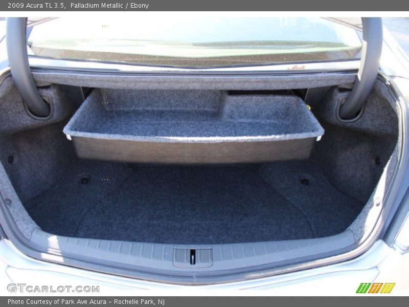 Palladium Metallic / Ebony 2009 Acura TL 3.5