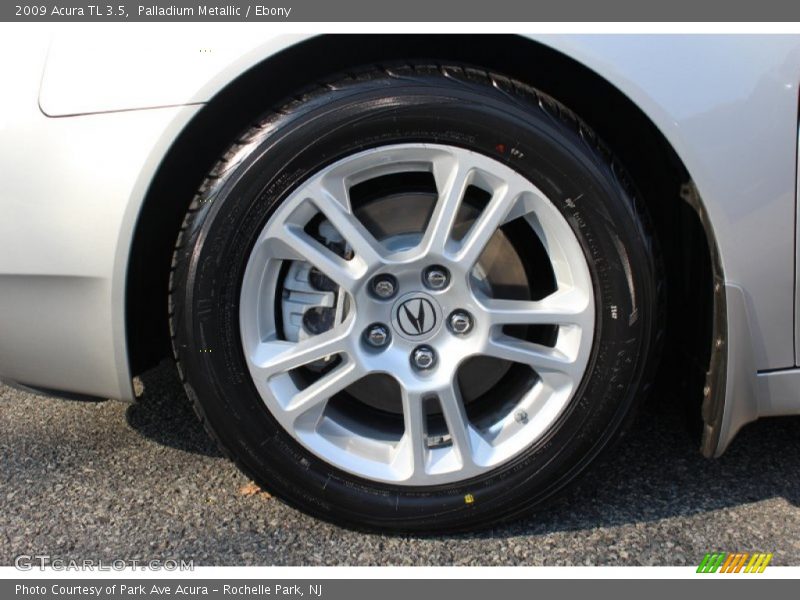 Palladium Metallic / Ebony 2009 Acura TL 3.5