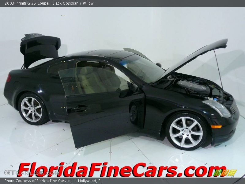 Black Obsidian / Willow 2003 Infiniti G 35 Coupe