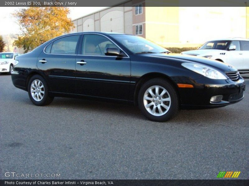 Black Onyx / Ivory 2002 Lexus ES 300