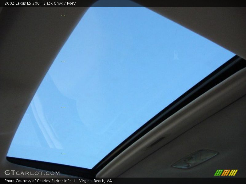 Black Onyx / Ivory 2002 Lexus ES 300