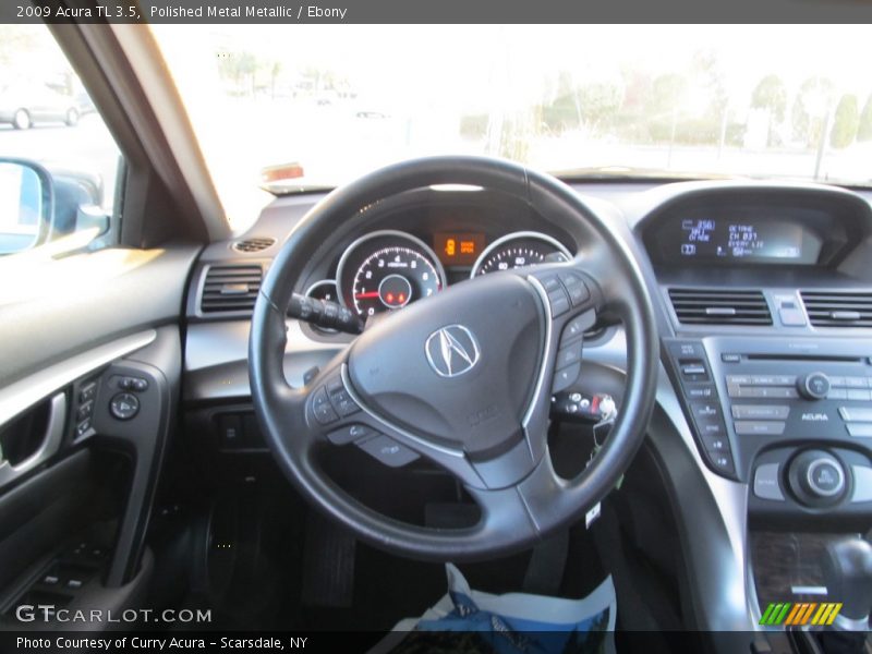 Polished Metal Metallic / Ebony 2009 Acura TL 3.5