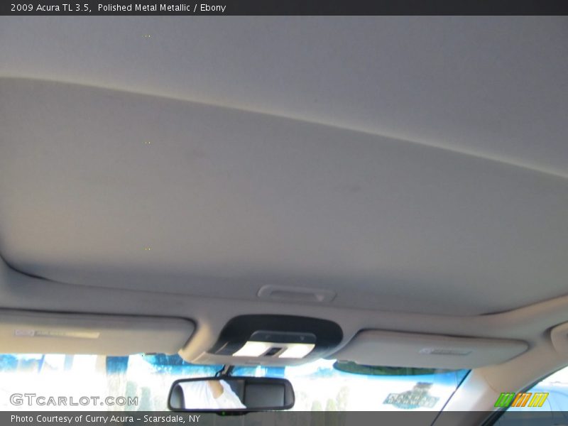 Polished Metal Metallic / Ebony 2009 Acura TL 3.5
