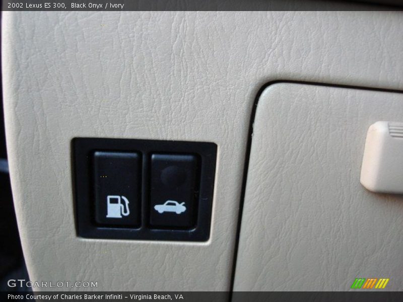 Black Onyx / Ivory 2002 Lexus ES 300