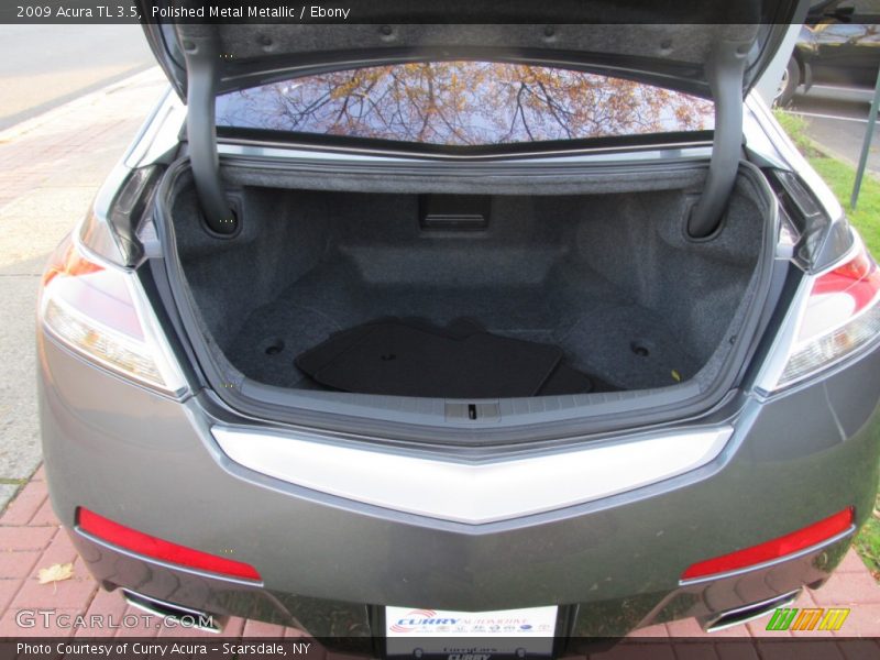 Polished Metal Metallic / Ebony 2009 Acura TL 3.5