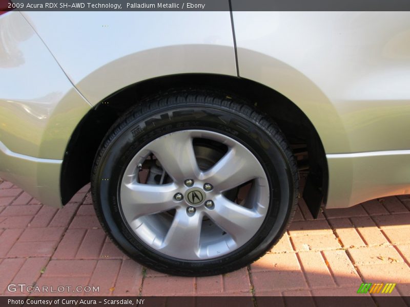 Palladium Metallic / Ebony 2009 Acura RDX SH-AWD Technology