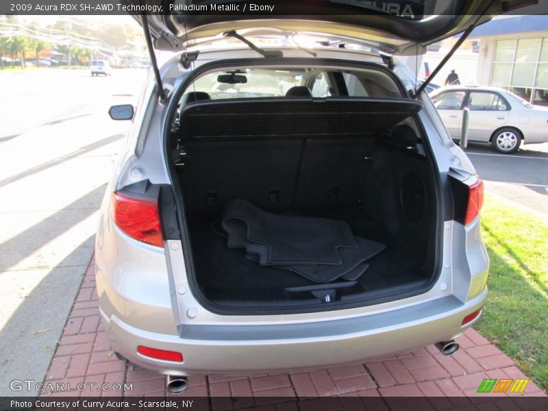 Palladium Metallic / Ebony 2009 Acura RDX SH-AWD Technology