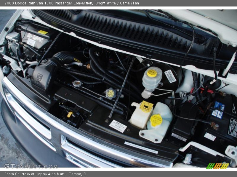 Bright White / Camel/Tan 2000 Dodge Ram Van 1500 Passenger Conversion