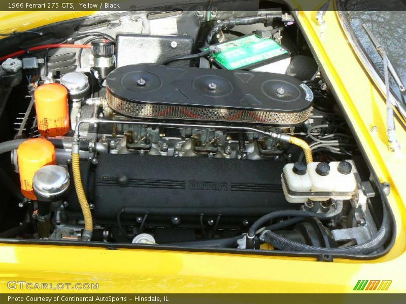  1966 275 GTS Engine - 3.3 Liter SOHC 24-Valve V12