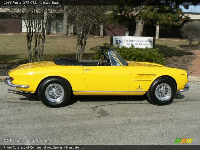 Yellow / Black 1966 Ferrari 275 GTS