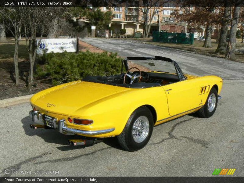 Yellow / Black 1966 Ferrari 275 GTS