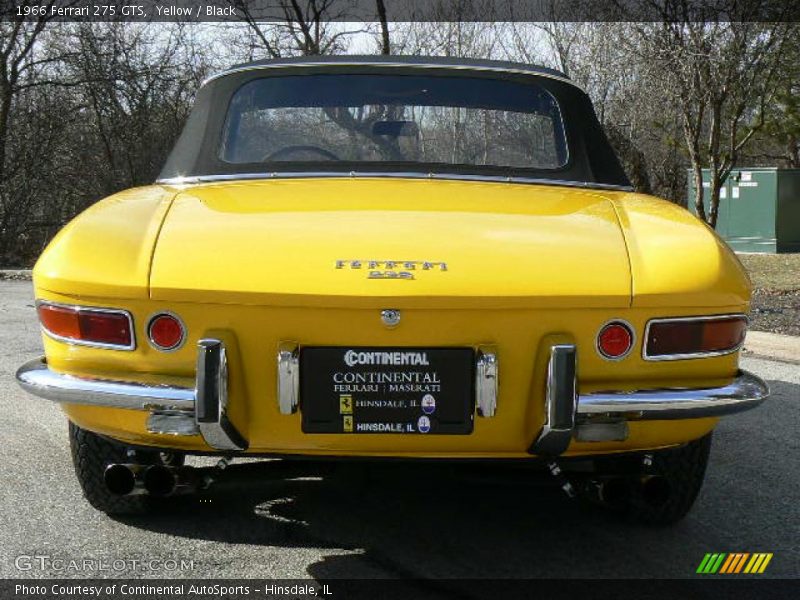 Yellow / Black 1966 Ferrari 275 GTS